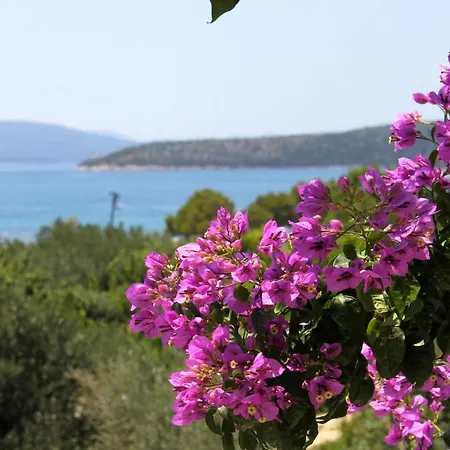 게스트하우스 And With A Swimming Pool Slano, Dubrovnik - 2179